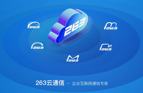 中国互联网企业100强榜单发布,二六三网络通信第7次上榜